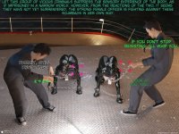 translated-7 (97).jpg