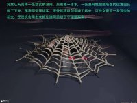 translated-7 (128).jpg