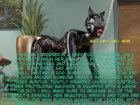 translated-10 (118).jpg