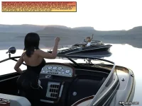 x010.webp
