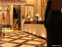 x016.webp