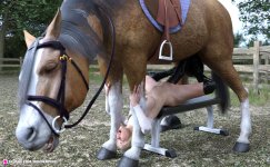 equestrianfantasy05.jpg