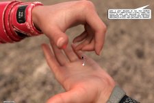 TS_WANA_22x016.jpg
