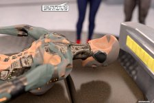 WG-BOTG-06x029.jpg