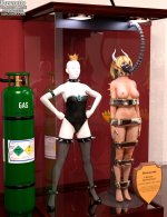 bowsette_trophy_case_by_thejpeger_dfk4kuz_414w_2x.jpg