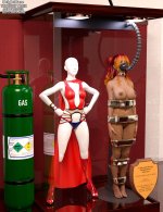 brightflare_trophy_case_by_thejpeger_dffkroi_414w_2x.jpg