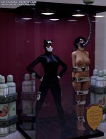 catwoman_trophy_case_by_thejpeger_dac8fnm_414w_2x.jpg