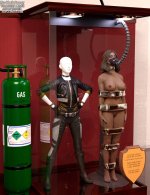 ijl2_black_canary_trophy_case_by_thejpeger_dfh8vyg_414w_2x.jpg