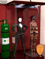 ijl2_catwoman_trophy_case_by_thejpeger_dfh8vyc_414w_2x.jpg
