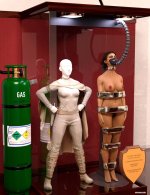 padme_amidala_trophy_case_by_thejpeger_dfpau4l_414w_2x.jpg