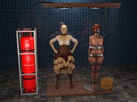 shani_trophy_case_by_cirilover1_de8e1lf_pre.jpg