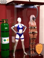 susan_storm_90s_costume_trophy_case_by_thejpeger_dfl2b87_414w_2x.jpg
