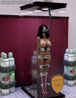 wonder_woman_trophy_case_iray_version_by_thejpeger_dab37xt_414w_2x.jpg