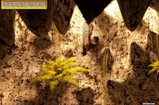 LS_O_01x047.webp