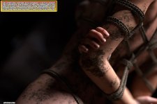 SS-V-O-04x006.jpg