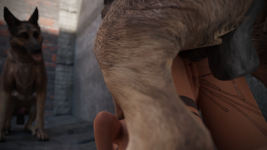 14.png