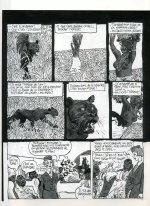 Cine Fripon 54.jpg