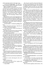 Fansadox-No04_page-0012.jpg