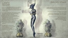 Harem Inventory 06 - Calming Attire eng.jpg