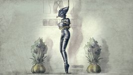 Harem Inventory 06 - Calming Attire.jpg
