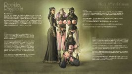 Harem Inventory 33 jap.jpg