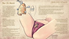 Harem Inventory 39 eng.jpg