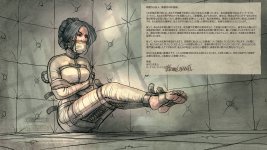 Victorian Asylum jap.jpg