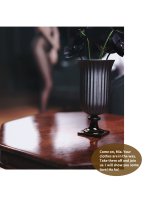 Page 75, object 448 (Im0).jpg