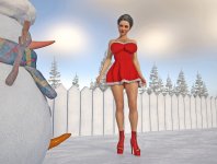 Xmas 09 - Mrs Claus.jpg