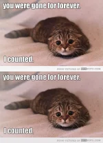 forever.webp