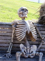 1765912468915.png 1765912468915.png