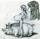 23.jpg 23.jpg