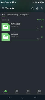 Screenshot_20251222-160304.µTorrent.png