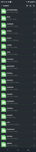 Screenshot_20251222-160347.µTorrent.png