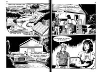 Pig 001-27fr.jpg