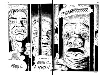 Pig 001-43fr.jpg