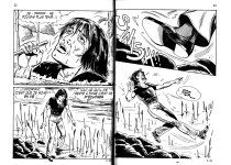 PIG002-FR-pg11.jpg