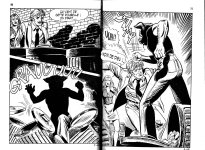 PIG002-FR-pg25.jpg