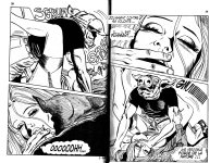 PIG002-FR-pg29.jpg