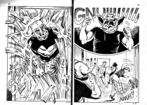 Pig 03-11.jpg