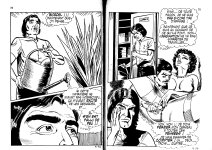 PIG005ENGpg38-FR.jpg