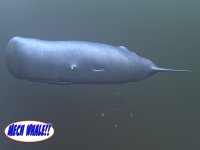 oceanbound_0022.jpg
