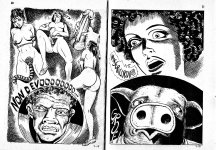 Pig 007 - L`osceno Trapianto 10.jpg