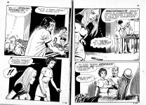 Pig 007 - L`osceno Trapianto 20.jpg