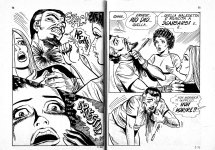 Pig 007 - L`osceno Trapianto 37.jpg