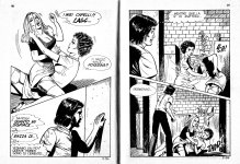 Pig 007 - L`osceno Trapianto 48.jpg