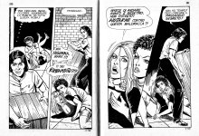 Pig 007 - L`osceno Trapianto 50.jpg