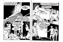 PIG 007 - 03-FR.jpg