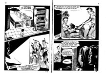 PIG 007 - 06-FR.jpg
