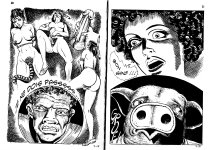 PIG 007 - 11-FR.jpg